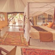 Sasaab Camp - Explorer Safari