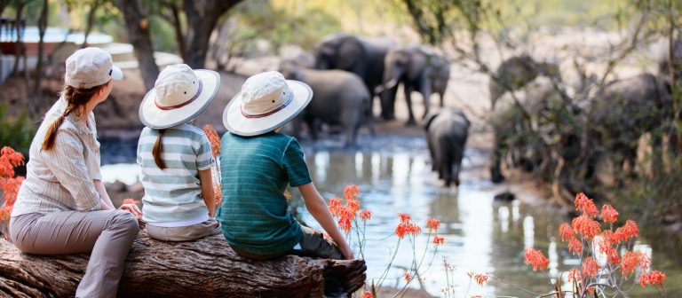 The Top 5 Safari Tours You Need to Experience in 2023